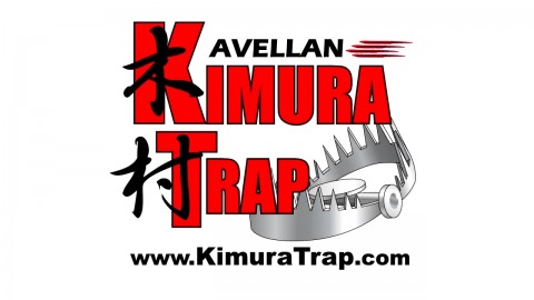 KTS Update 2 - Step Over Kimura Improvement