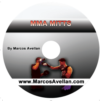 MMA Mitts