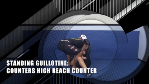 Standing Guillotine Counters High Reach Counter