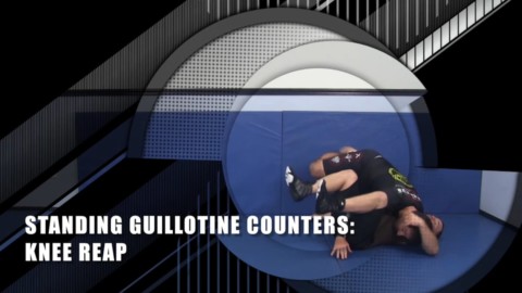 Standing Guillotine Counters Knee Reap