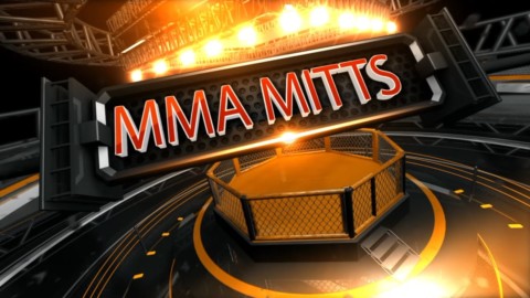 MMA Mitts 02 - Slipping Punches