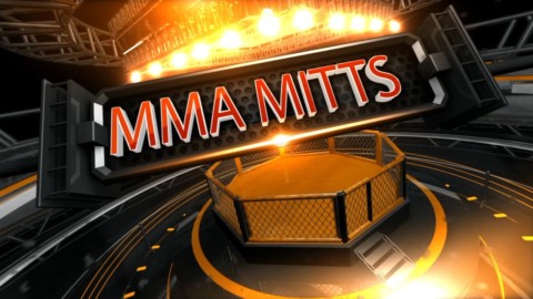 MMA Mitts 03 - Slipping Punches To Upper Cuts