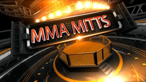 MMA Mitts 12 - Splitting Punches