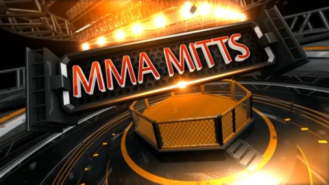 MMA Mitts 14 - Jab Both Mitts