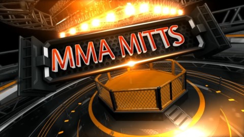 MMA Mitts 18 - Speed Reflex Drill