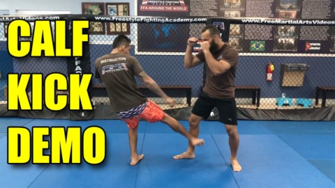 UFC Fight Pass Leg Kick Break Technique