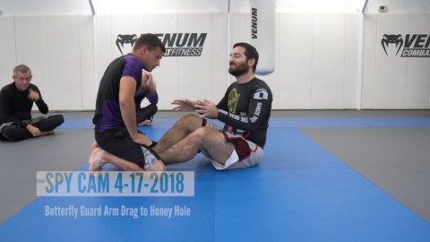 Butterfly Guard Arm Drag to Honey Hole