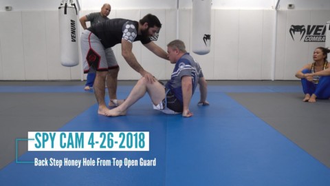 Back Step Honey Hole From Top Open Guard