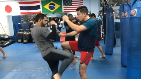 MMA training highlights