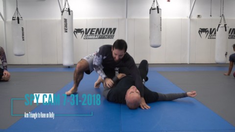 Arm Triangle Knee on Belly