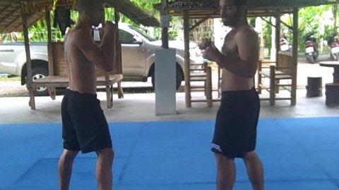 Muay Thai Elbow Combinations