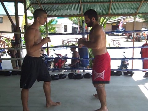 Muay Thai Knee and Kick Counters
