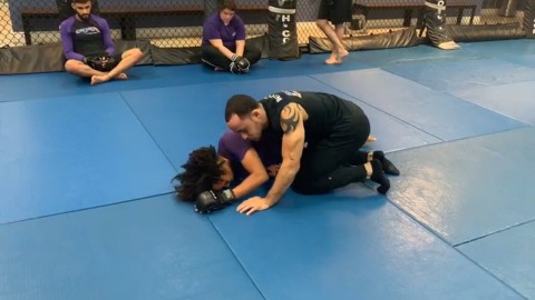 Ground and pound from half guard