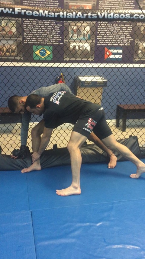 Trip Transition from Failed Ankle Pick off the Cage Takedown