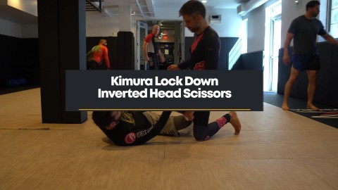 40 - KLD Inverted Head Scissors