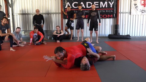 Day 2 Morning - Straight Arm Lock from Half Guard