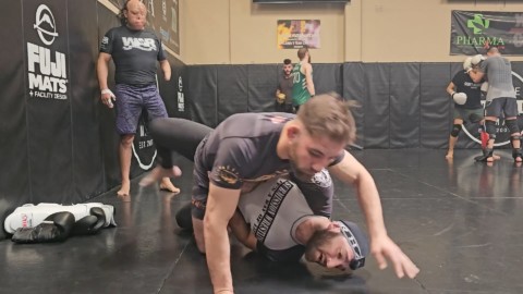 Hip Frame Bridge Mount Escape