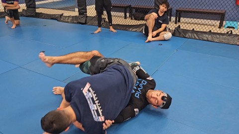 HG RSB Knee Lever Butt Push