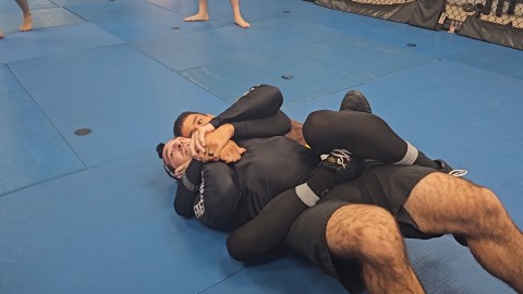 Rear Naked Choke Defense
